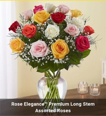 Design Elegance Mixed Roses