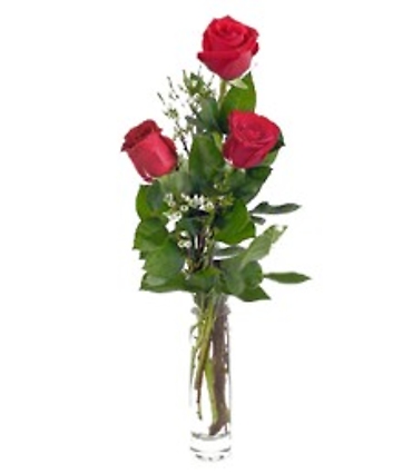 3 Roses in a Bud Vase