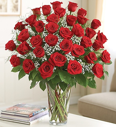 Two Dozen Premium Long Stem Red Roses