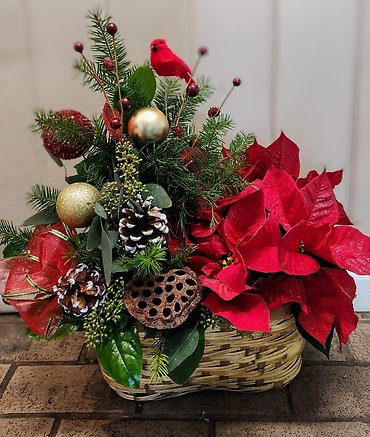 Holiday Pines and Poinsettia